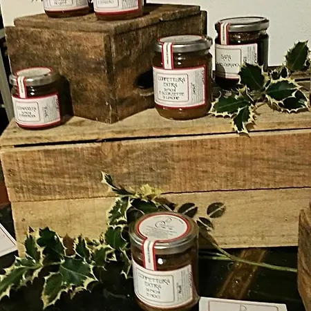 Mi Casa Es Tu Casa 3* Quarrata