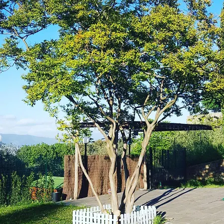 Alojamento de Acomodação e Pequeno-almoço Mi Casa Es Tu Casa